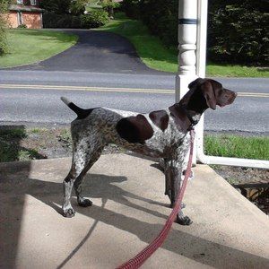 Meet your Posher, Mary-cay